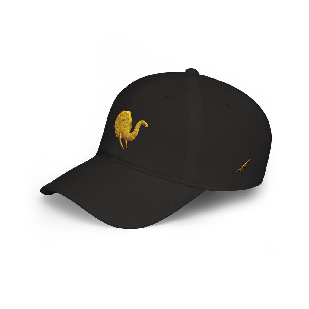 Copy of Copy of Low Profile Baseball Cap with Silver Coin Patch — Vintage Coin Dad Hat, Casual Streetwear Cap