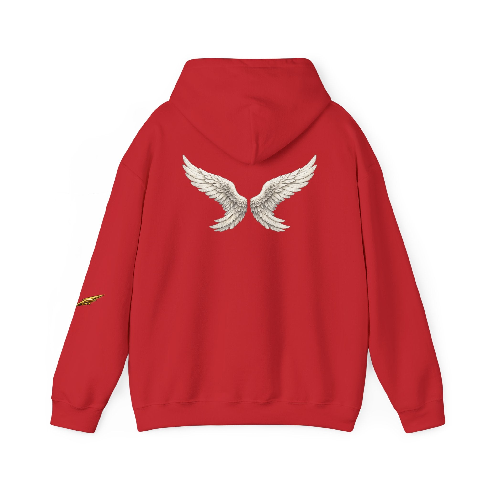 Angel Wings Hoodie — White Back Graphic Pullover