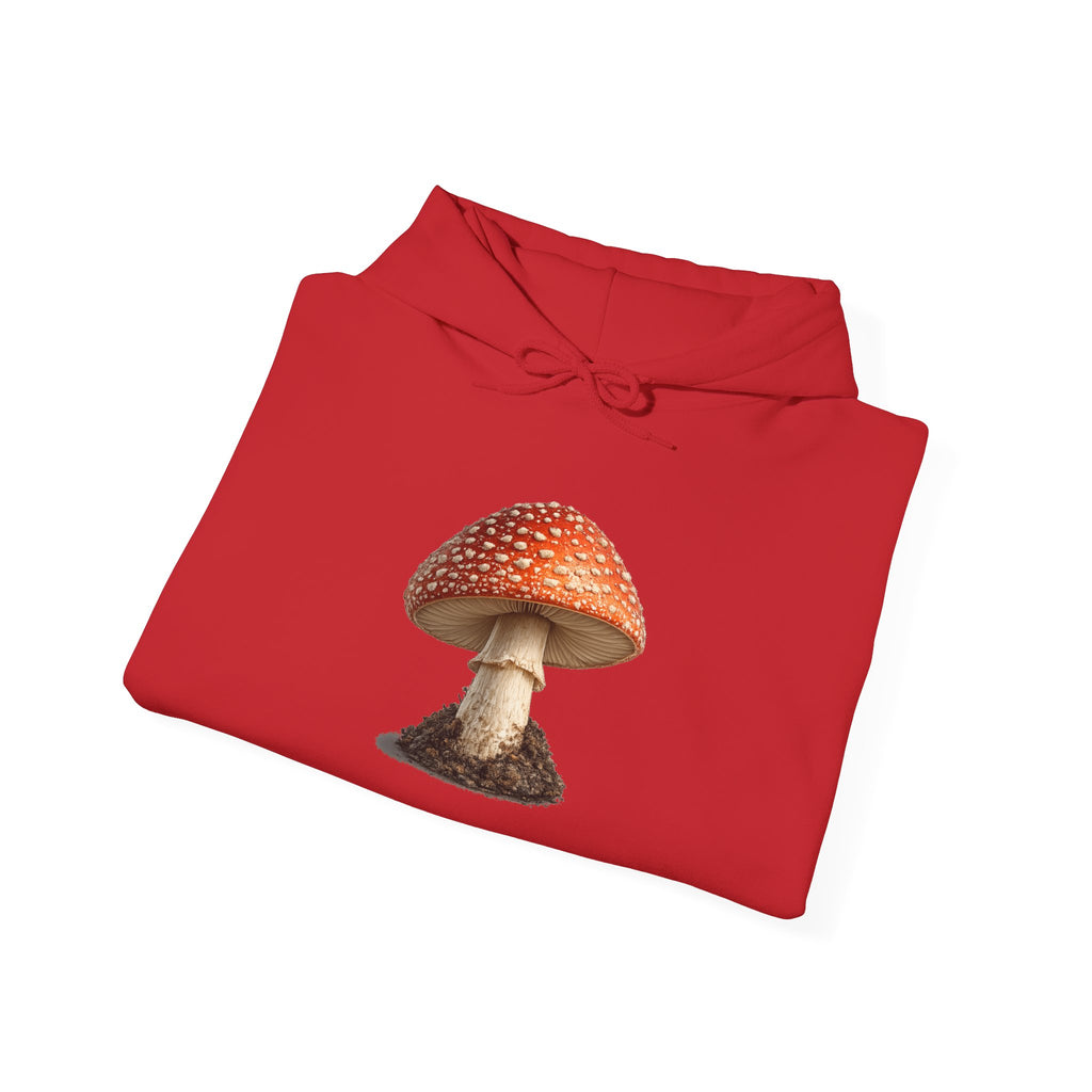 Mushroom Hoodie — Vintage Fly Agaric Fungi Graphic Pullover