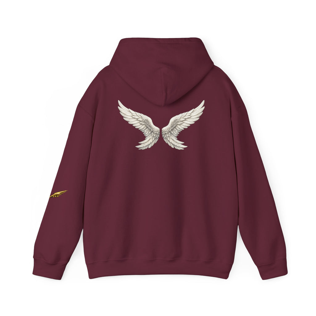 Angel Wings Hoodie — White Back Graphic Pullover