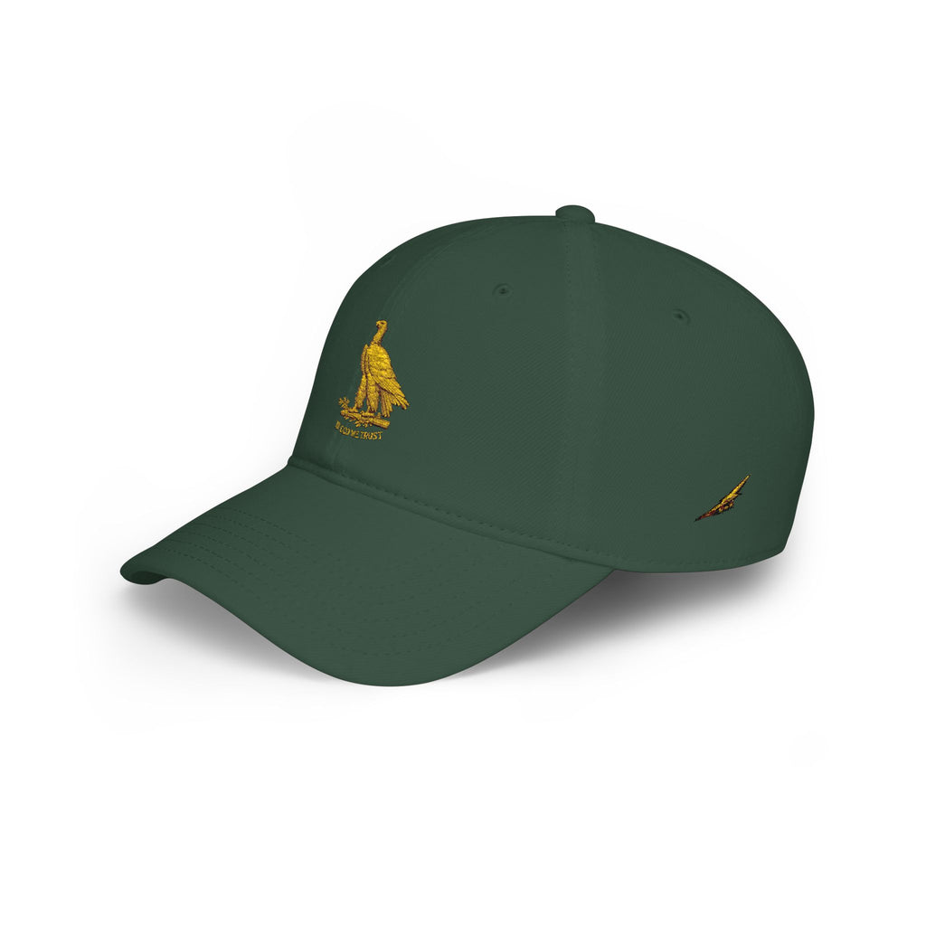 Low Profile Cap with Gold Eagle Embroidery — Patriot Vintage Baseball Hat