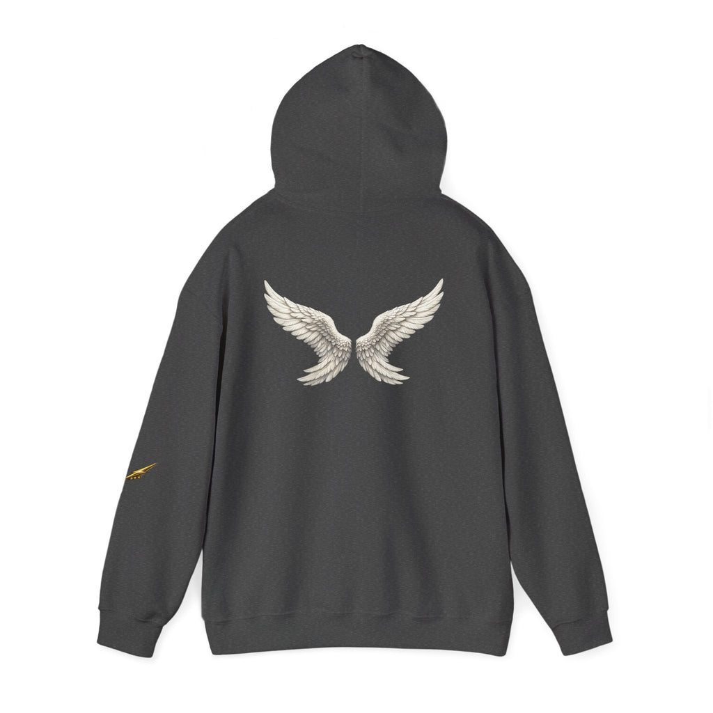 Angel Wings Hoodie — White Back Graphic Pullover