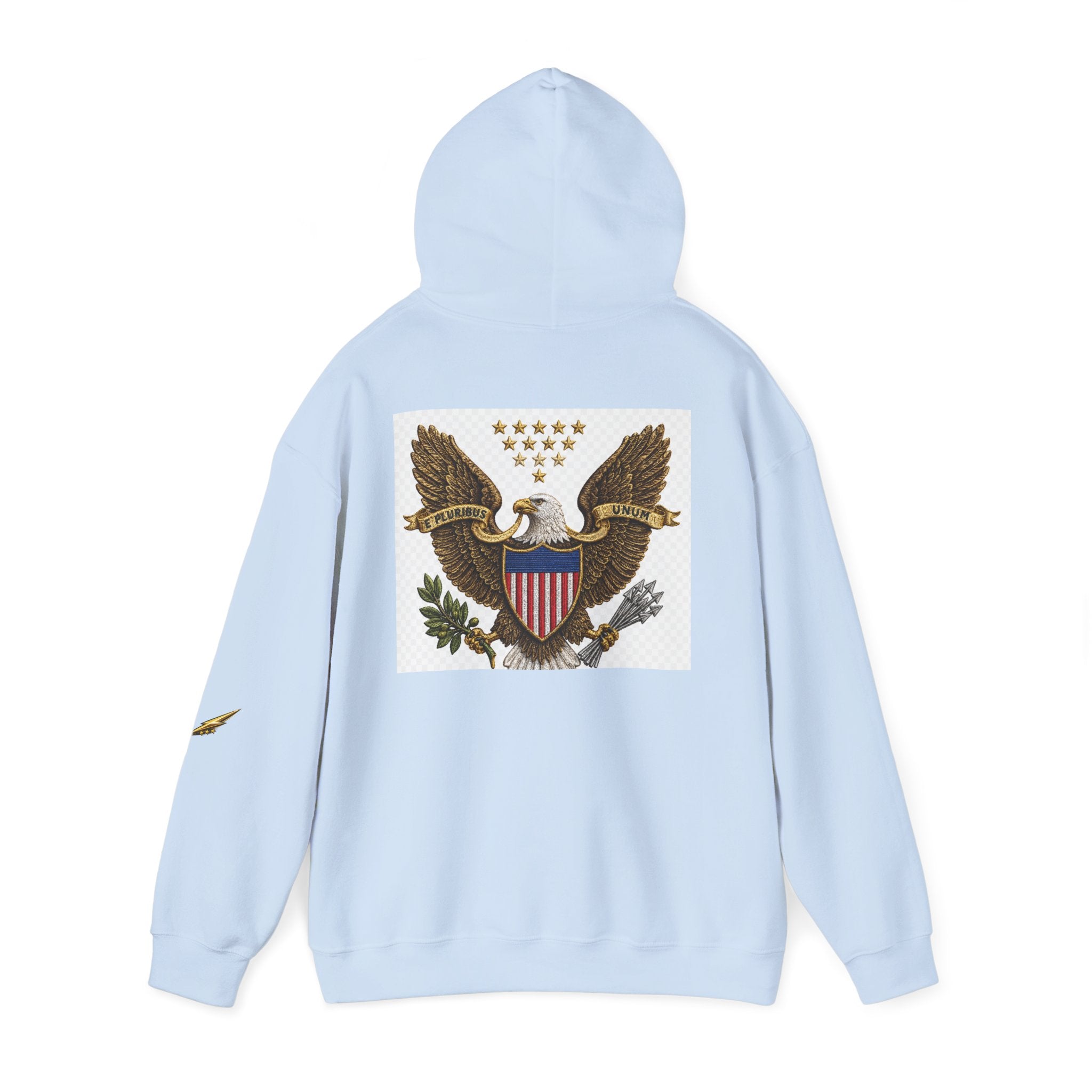 Eagle Emblem Hoodie — Vintage American Shield Graphic Hooded Sweatshirt