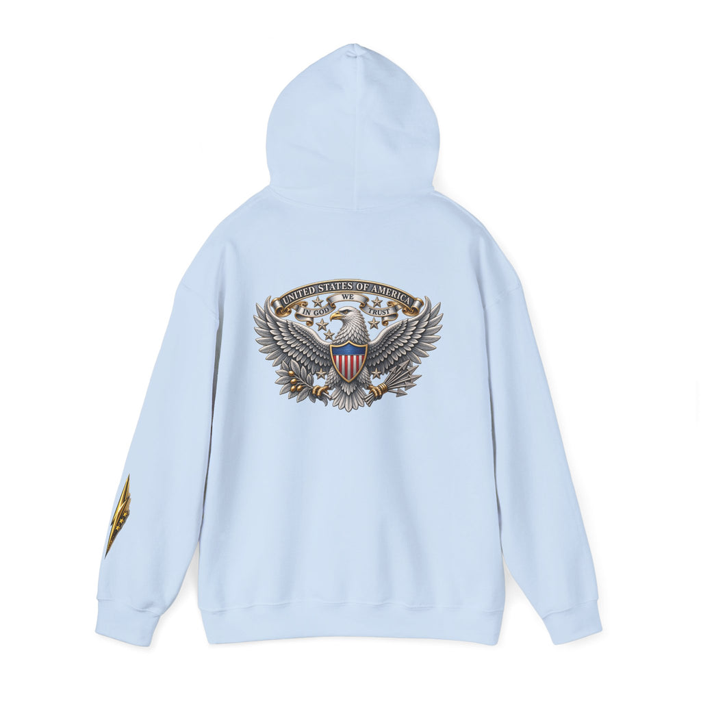 Patriotic Eagle Hoodie — American Shield Graphic Pullover