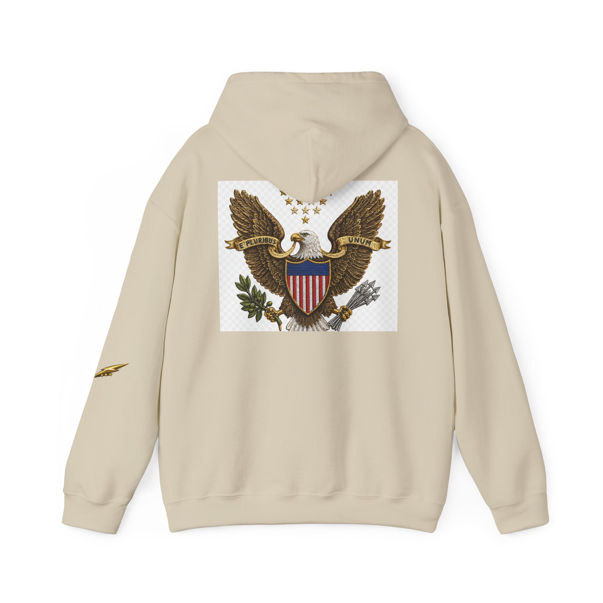 Eagle Emblem Hoodie — Vintage American Shield Graphic Hooded Sweatshirt