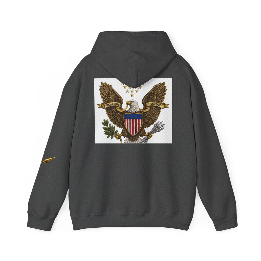 Eagle Emblem Hoodie — Vintage American Shield Graphic Hooded Sweatshirt