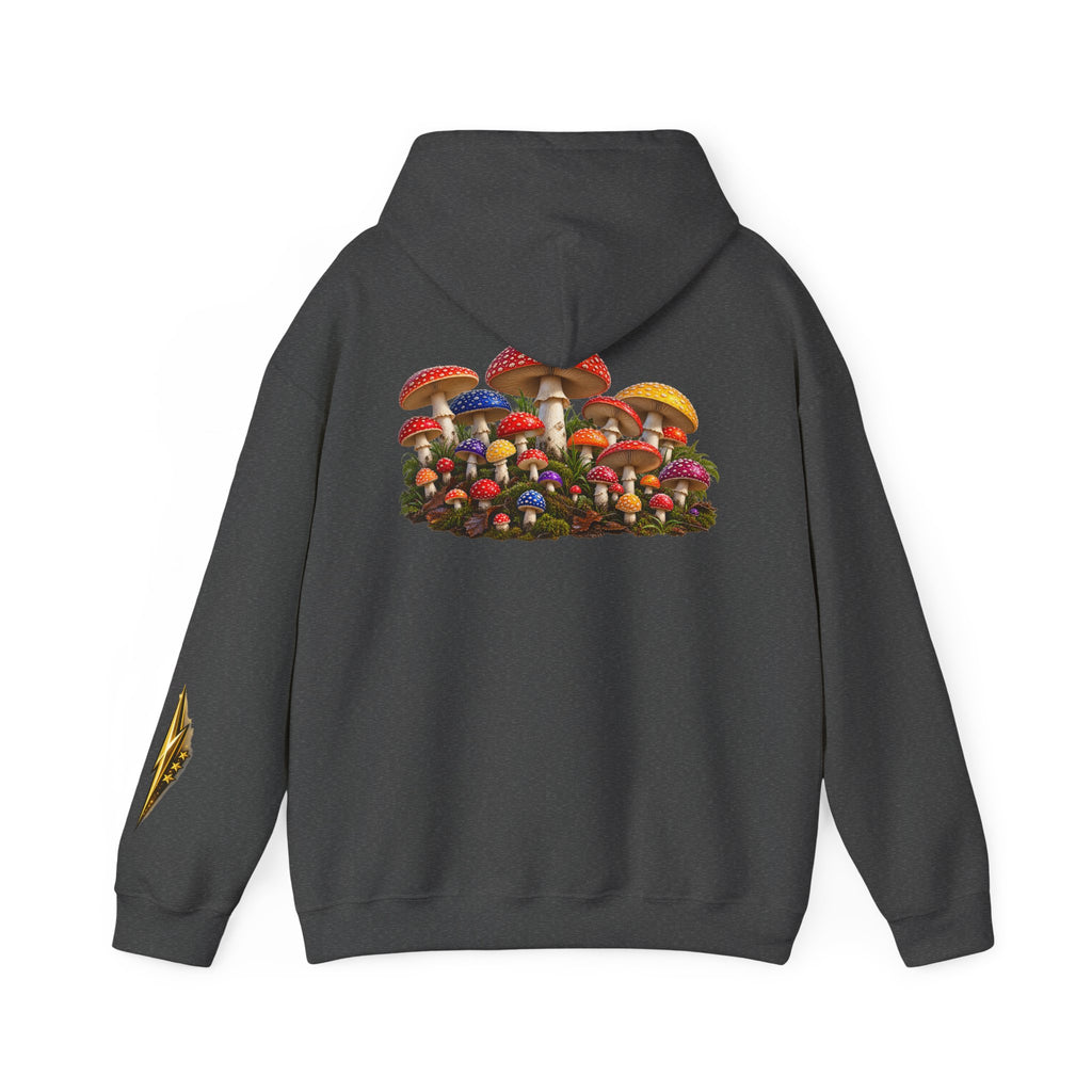Mushroom Hoodie — Vintage Fly Agaric Fungi Graphic Pullover
