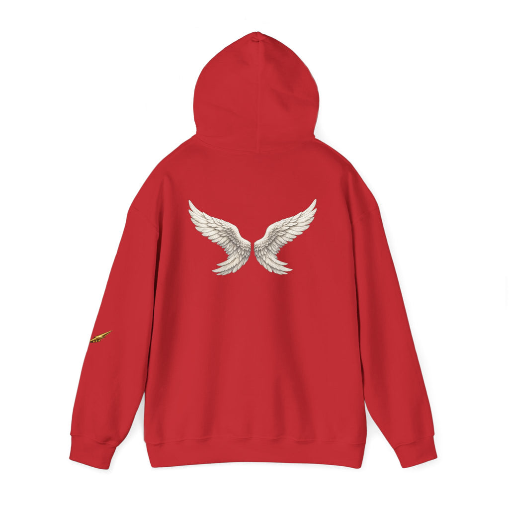 Angel Wings Hoodie — White Back Graphic Pullover