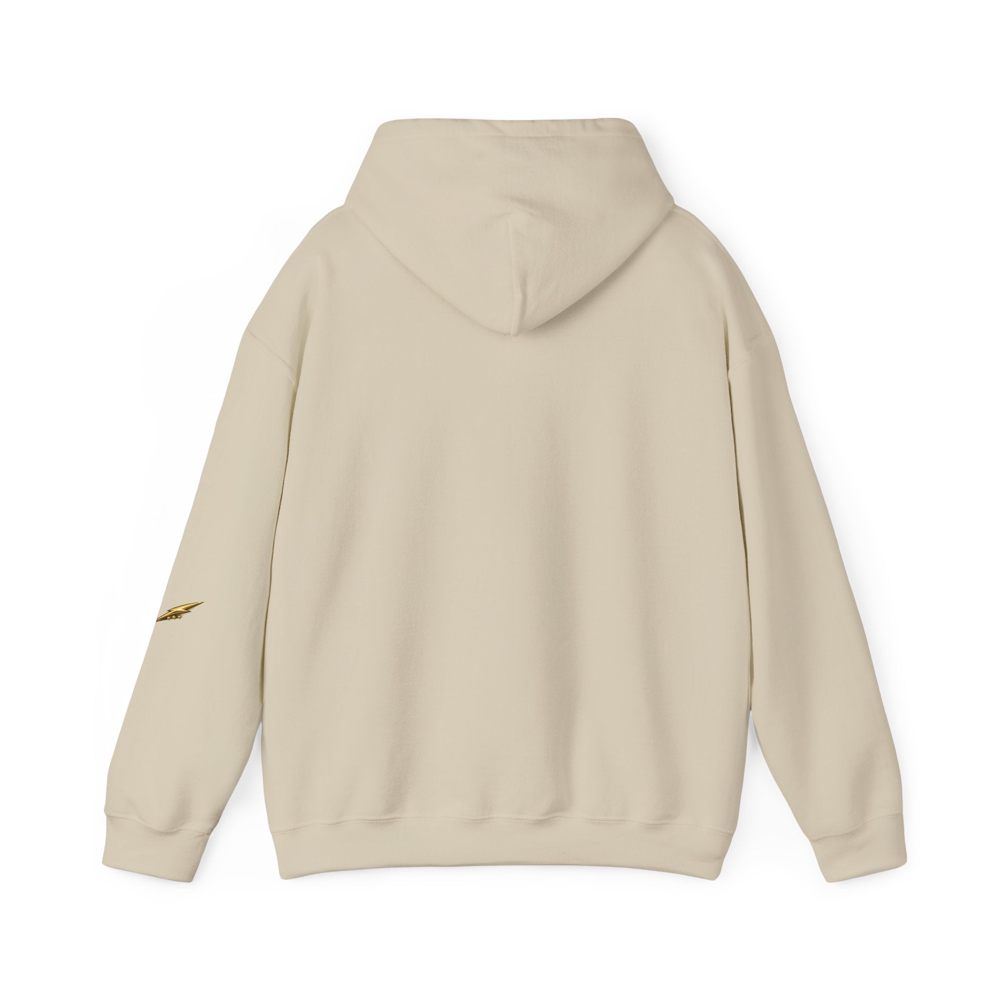 Mosquito Quote Hoodie — "If you think you are too small to make a difference, try sleeping with a mosquito"