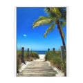 Beach Path Velveteen Blanket – Tropical Palm Microfiber Throw