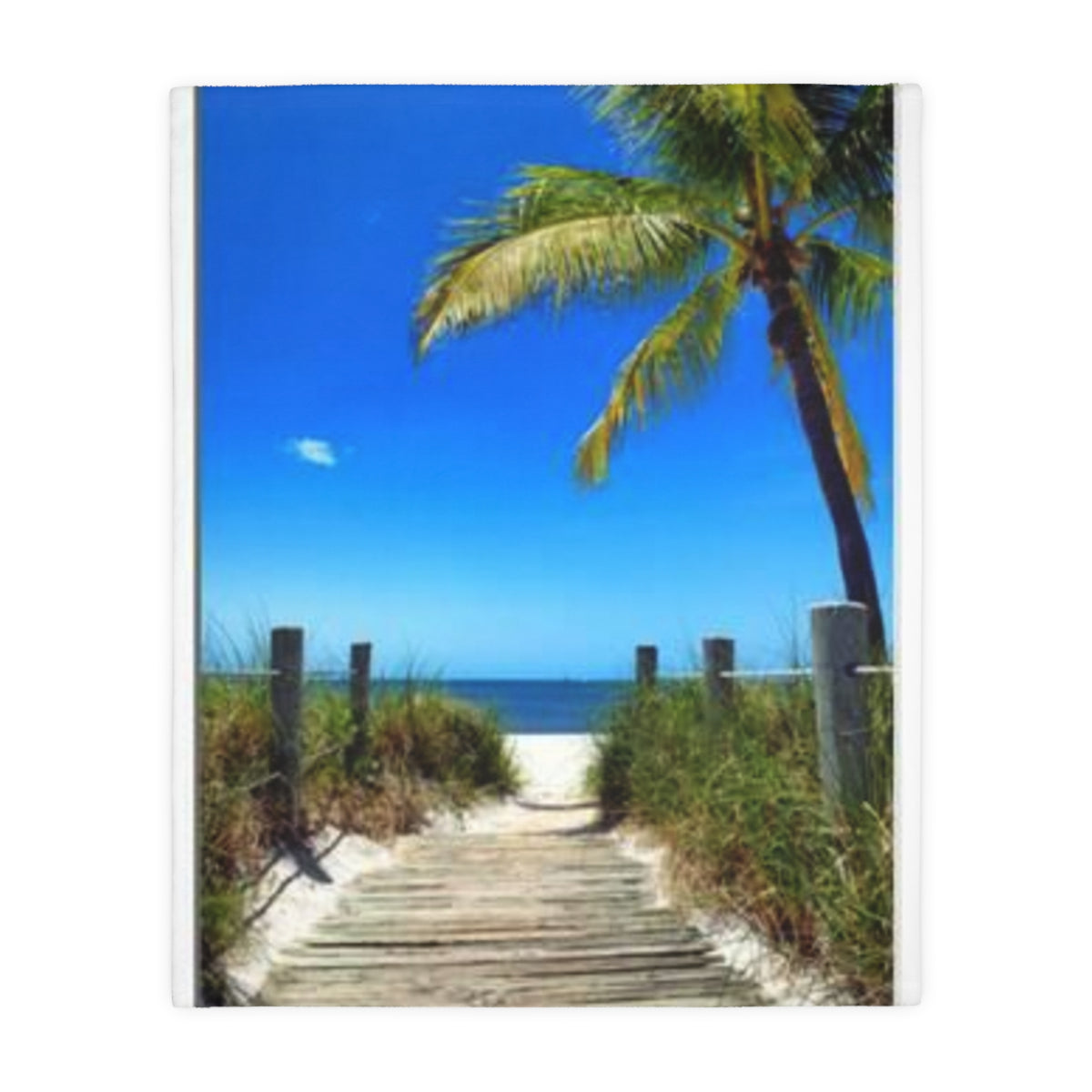 Beach Path Velveteen Blanket – Tropical Palm Microfiber Throw