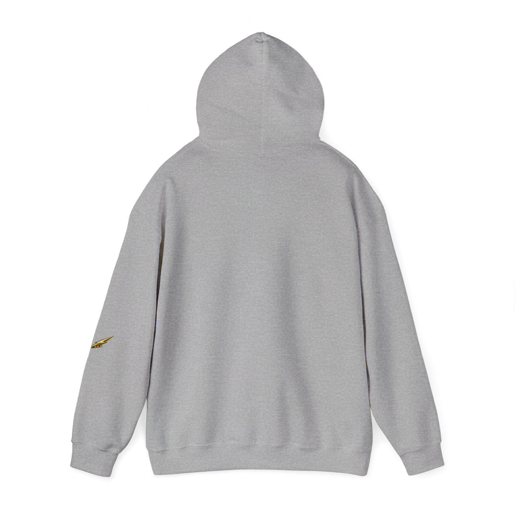 Princess Tiara Hoodie — Gold Script Crown Sweatshirt