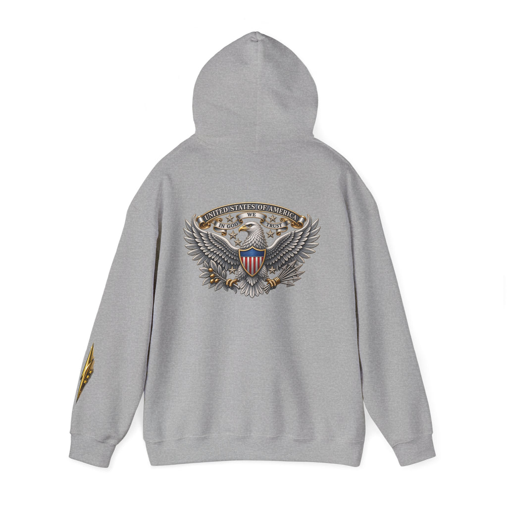Patriotic Eagle Hoodie — American Shield Graphic Pullover