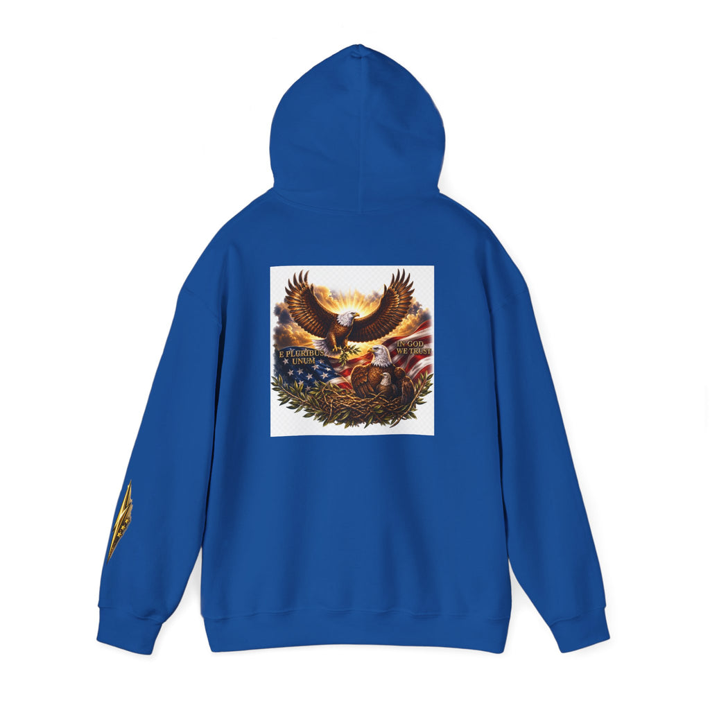 Patriotic Eagle Hoodie – American Flag & Bald Eagle Graphic Sweatshirt