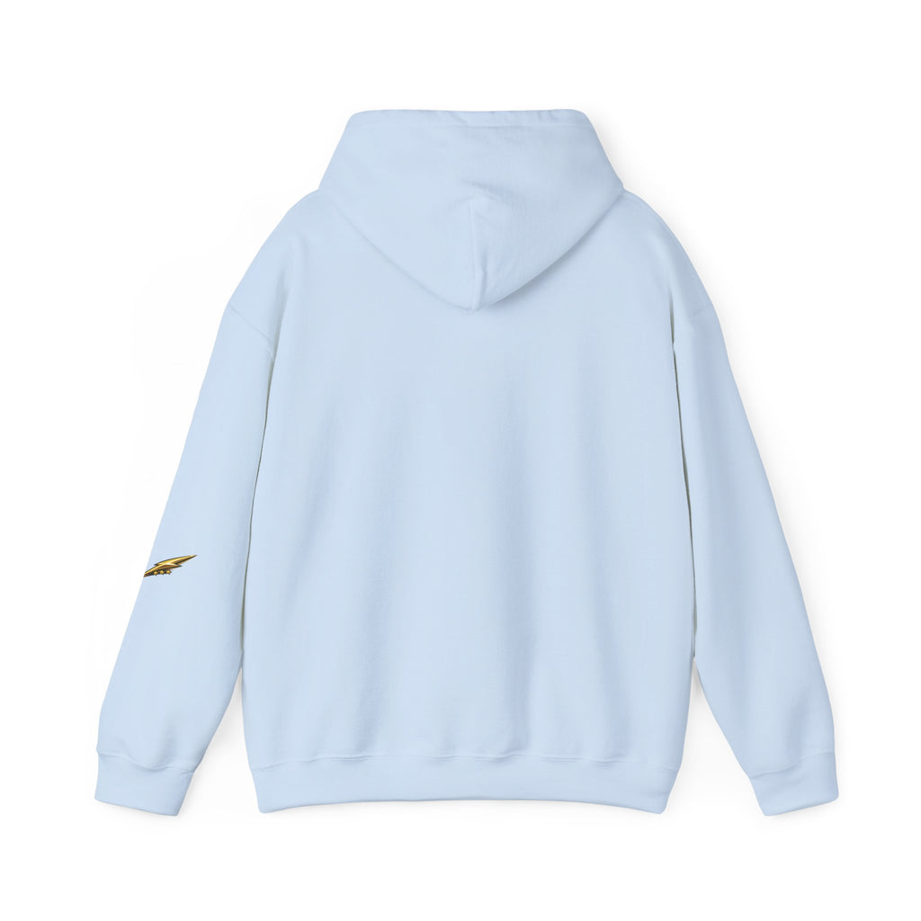 Princess Tiara Hoodie — Gold Script Crown Sweatshirt