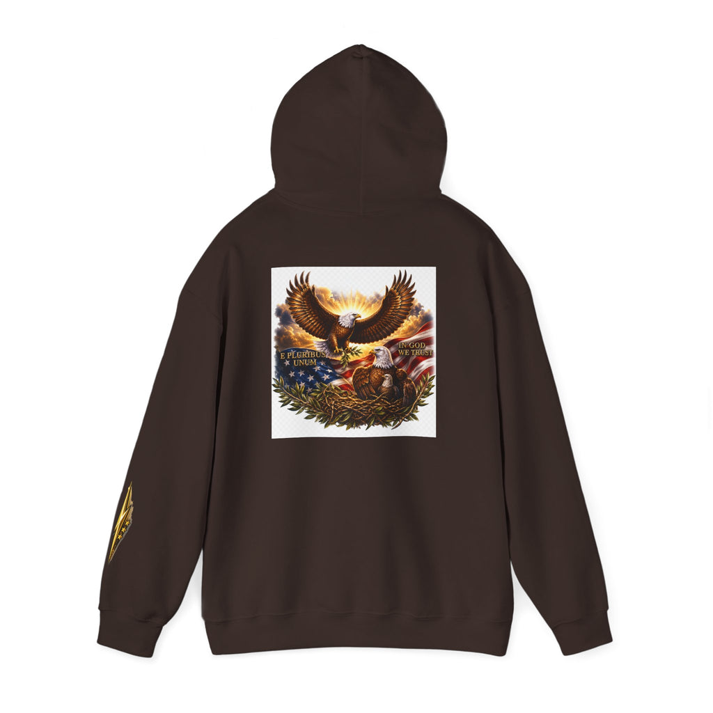 Patriotic Eagle Hoodie – American Flag & Bald Eagle Graphic Sweatshirt