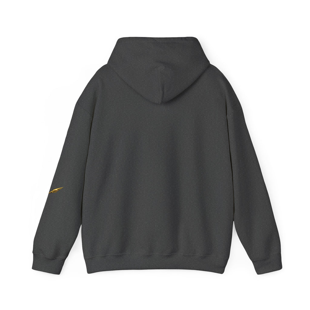 Copy of Devil Graphic Hoodie — "It Wasn't Me" Funny Devil Pullover