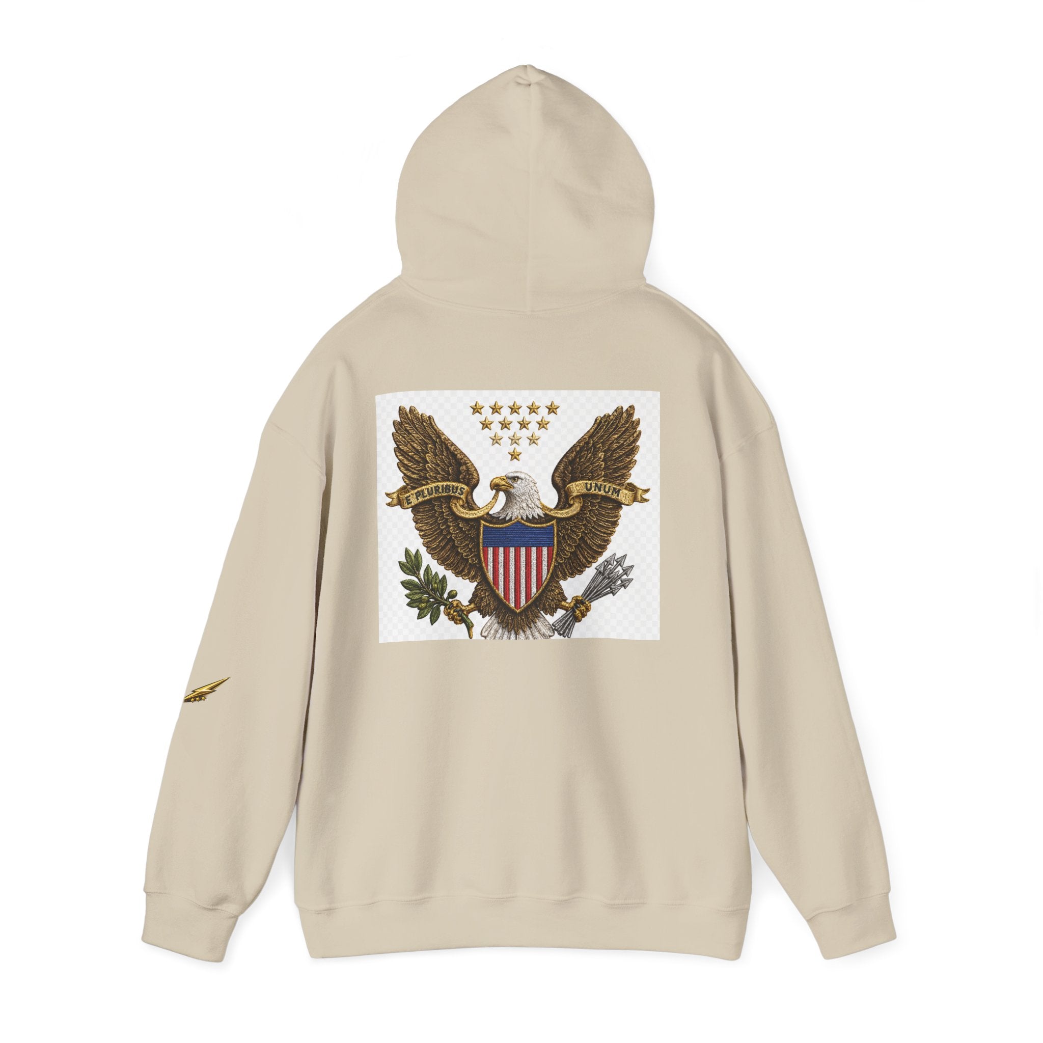 Eagle Emblem Hoodie — Vintage American Shield Graphic Hooded Sweatshirt
