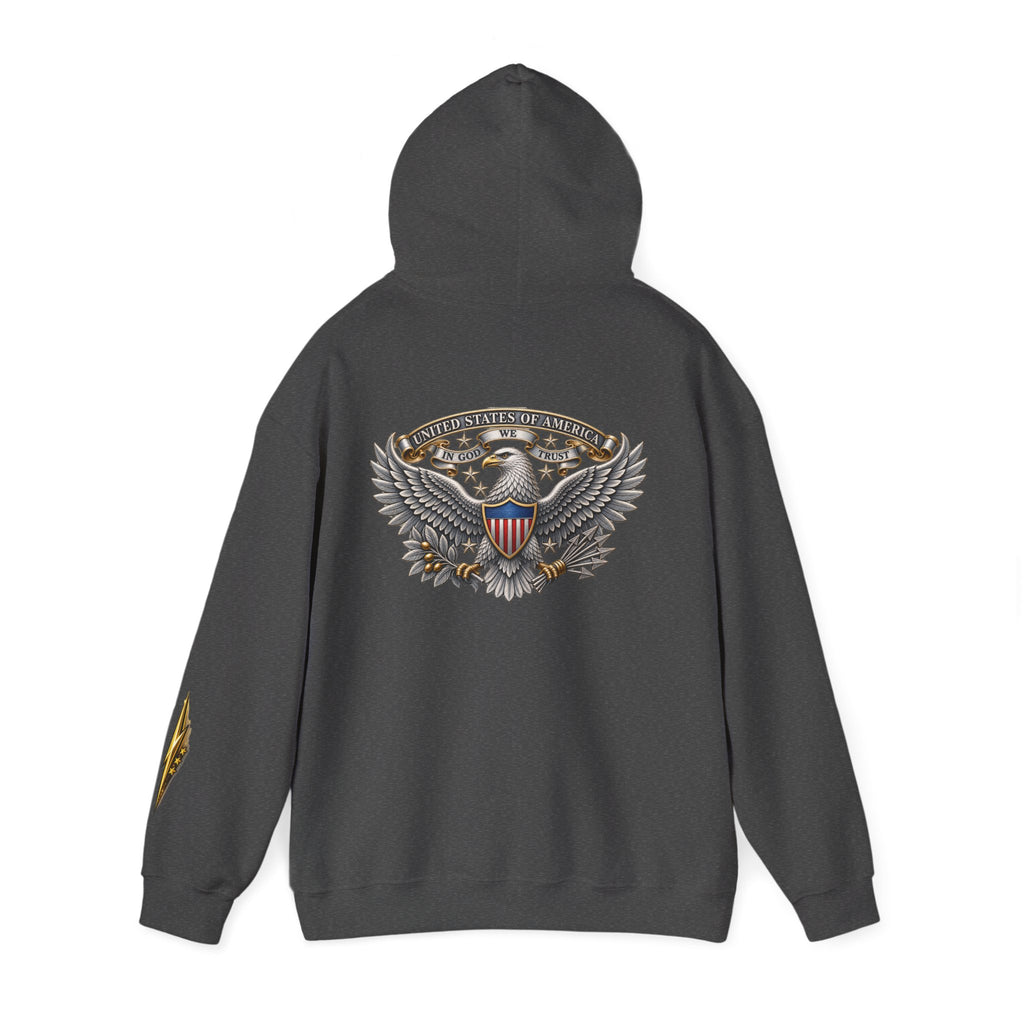 Patriotic Eagle Hoodie — American Shield Graphic Pullover