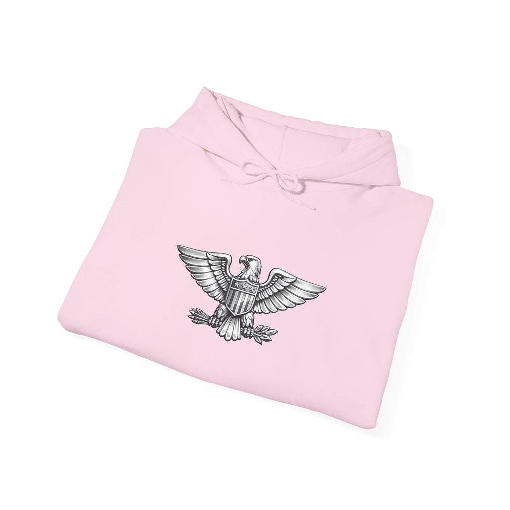 Eagle Emblem Hoodie — Classic Vintage Eagle Chest & Sleeve Graphic