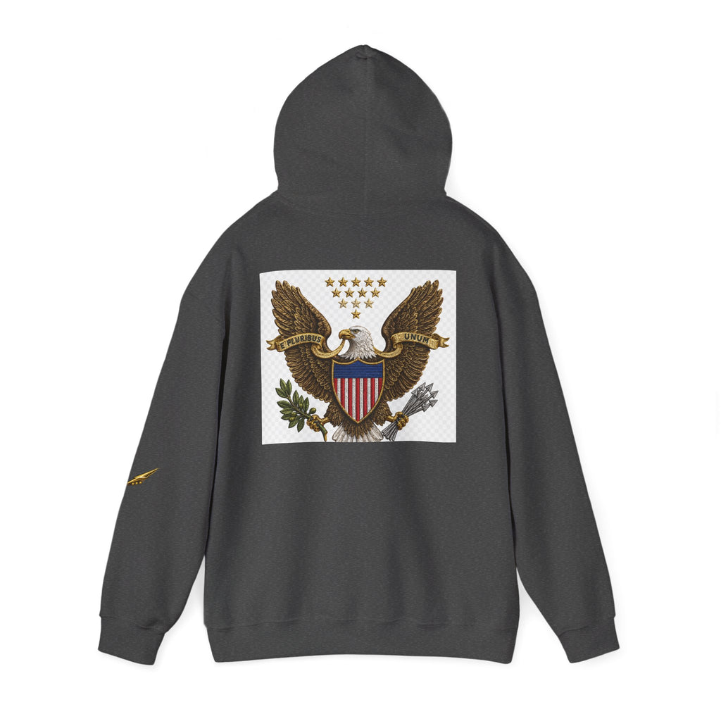Eagle Emblem Hoodie — Vintage American Shield Graphic Hooded Sweatshirt