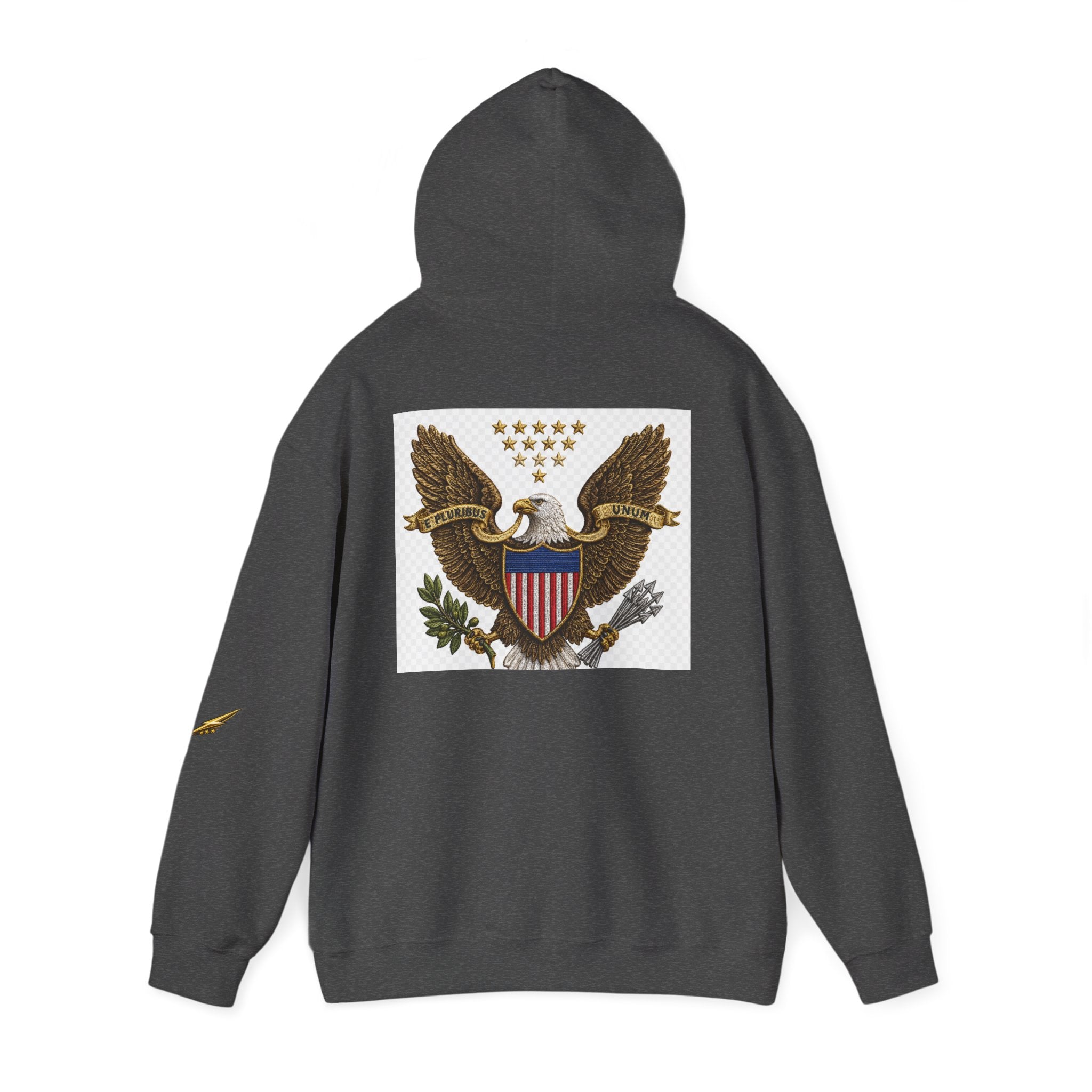 Eagle Emblem Hoodie — Vintage American Shield Graphic Hooded Sweatshirt