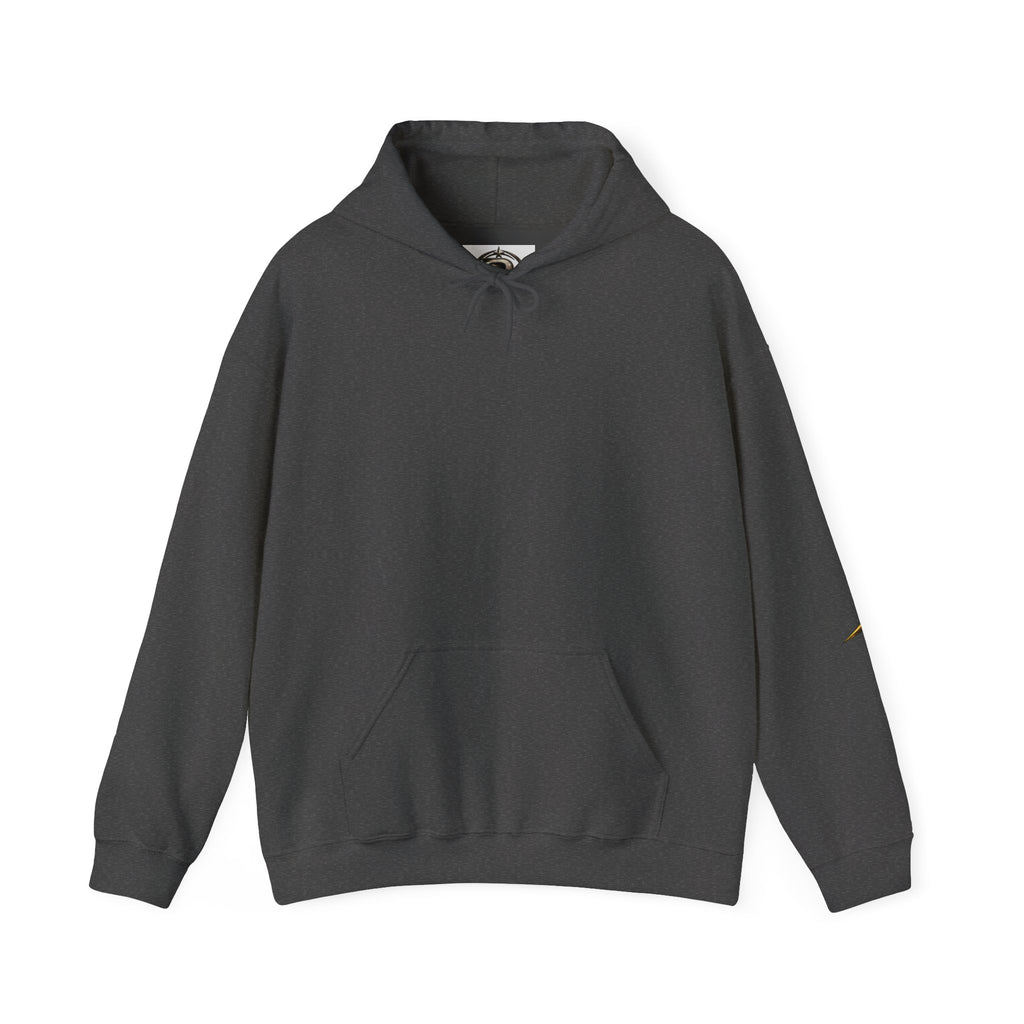 Hoodie - Awesome Lawn Darts Vintage Graphic Hoodie