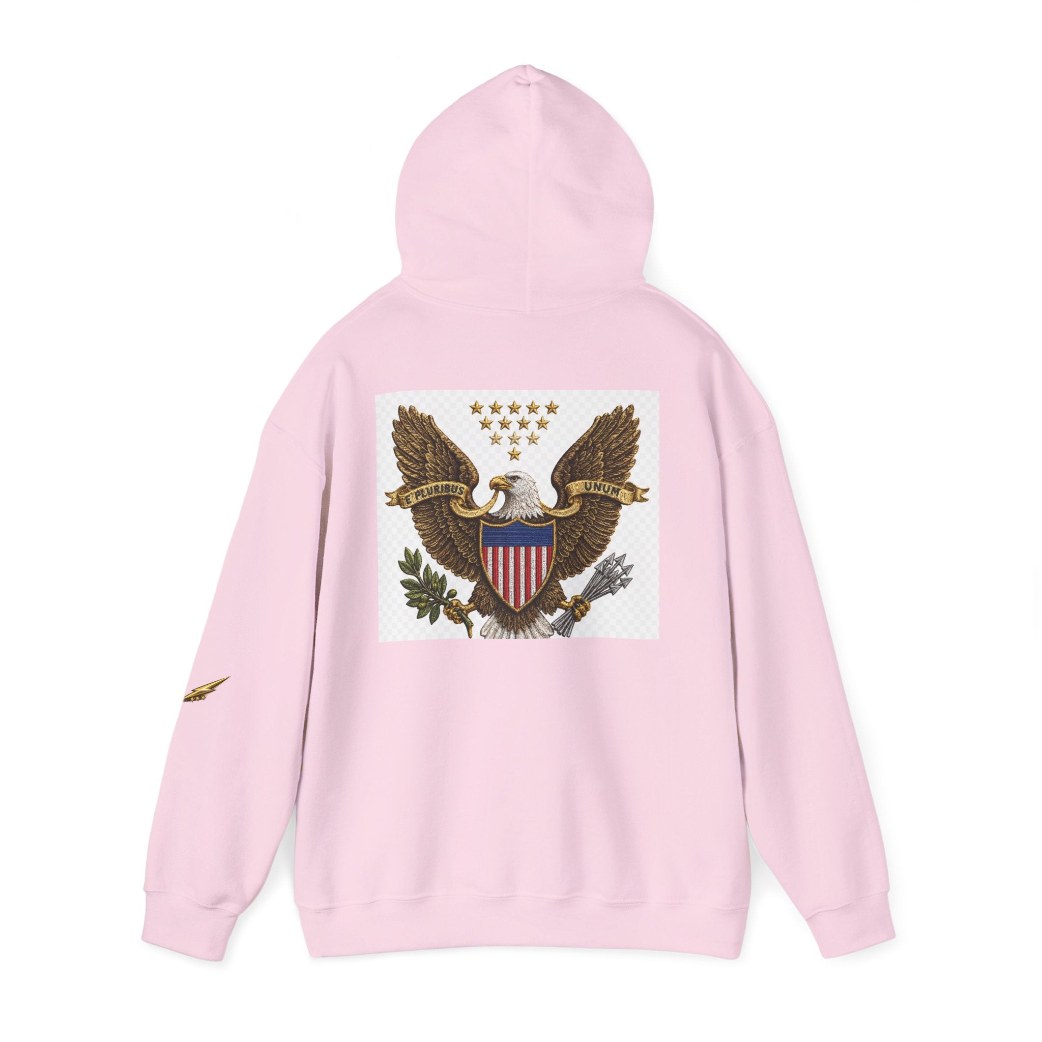 Eagle Emblem Hoodie — Vintage American Shield Graphic Hooded Sweatshirt