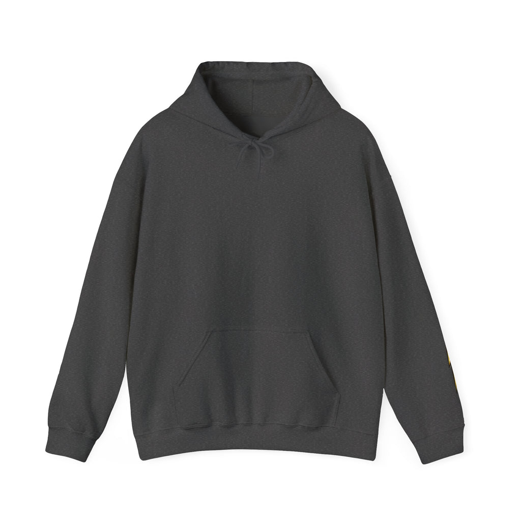 Eagle Wings Hoodie — Golden Bald Eagle Graphic Pullover