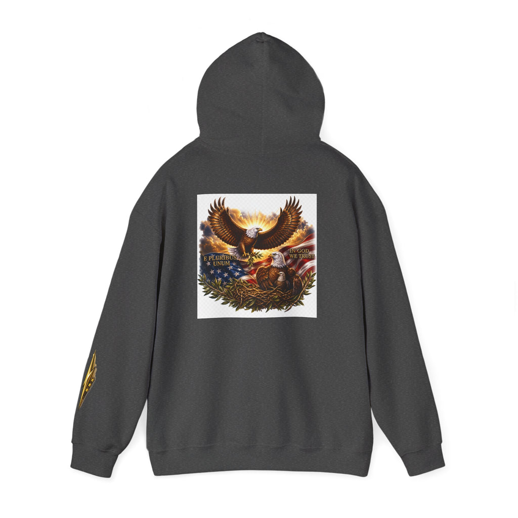 Patriotic Eagle Hoodie – American Flag & Bald Eagle Graphic Sweatshirt