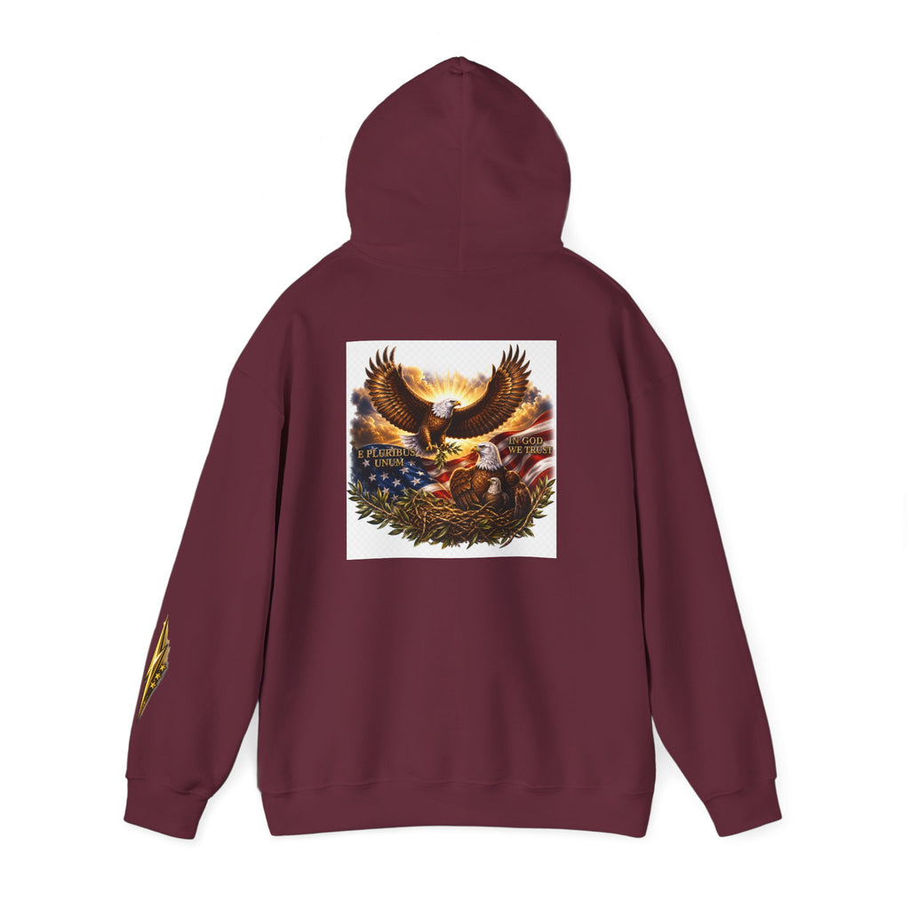 Patriotic Eagle Hoodie – American Flag & Bald Eagle Graphic Sweatshirt