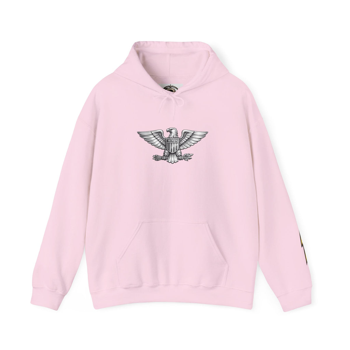 Eagle Emblem Hoodie — Classic Vintage Eagle Chest & Sleeve Graphic