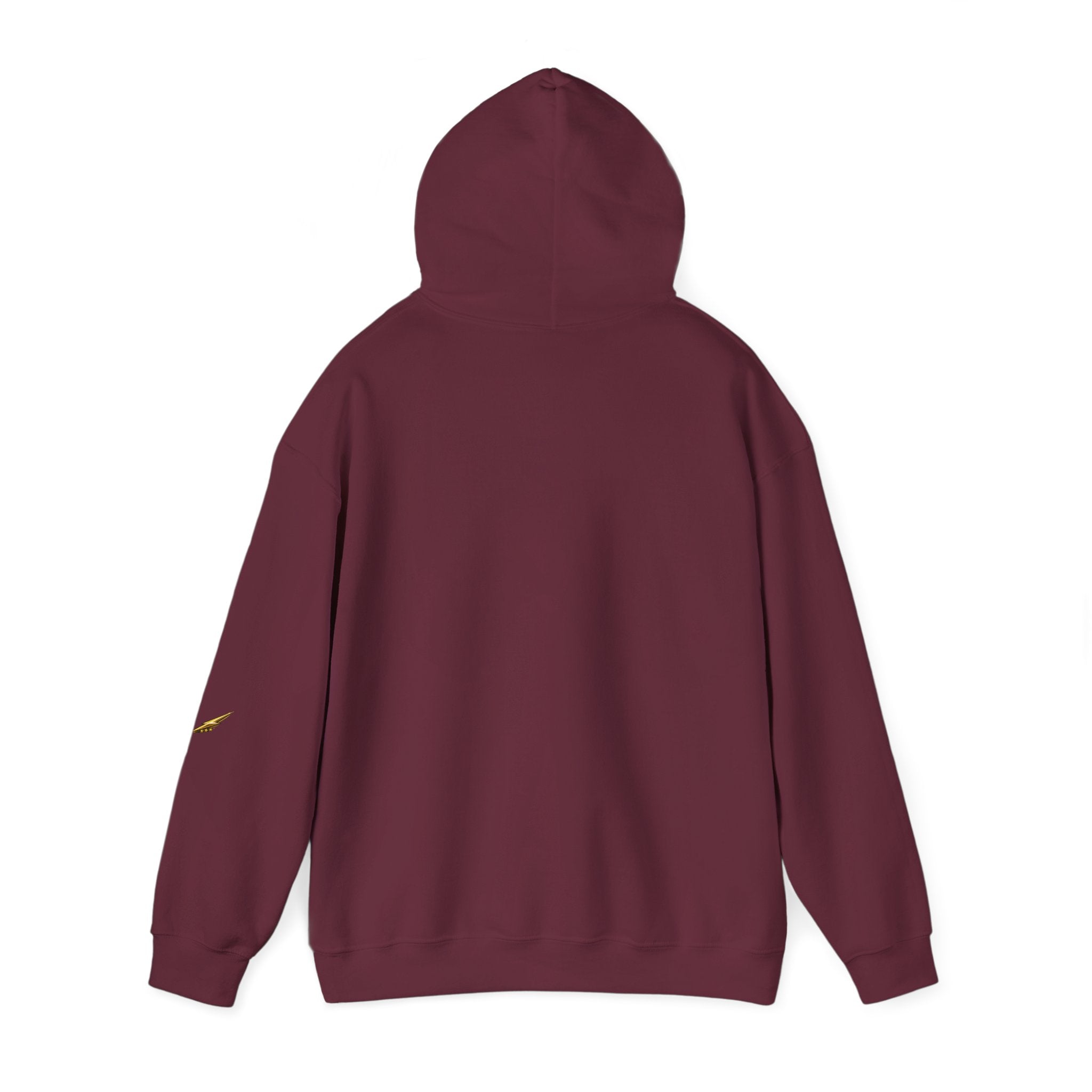 Mosquito Quote Hoodie — "If you think you are too small to make a difference, try sleeping with a mosquito"