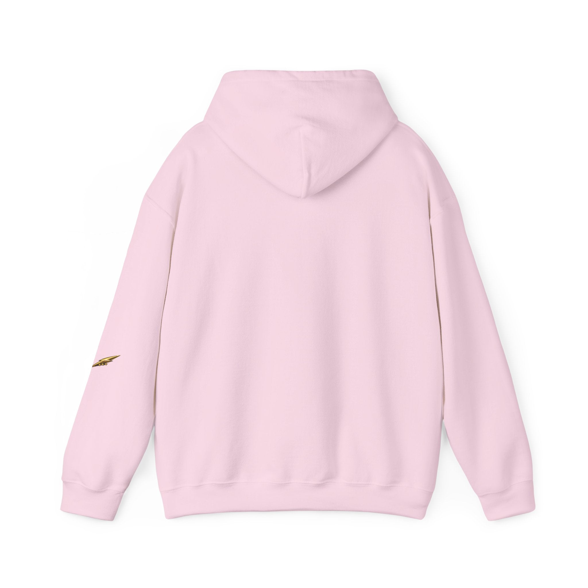 Mosquito Quote Hoodie — "If you think you are too small to make a difference, try sleeping with a mosquito"