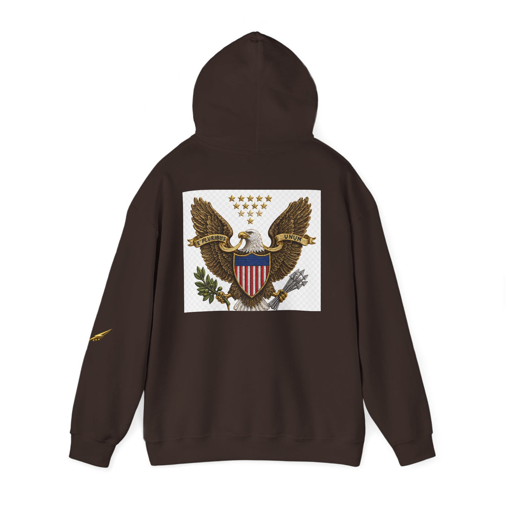 Eagle Emblem Hoodie — Vintage American Shield Graphic Hooded Sweatshirt