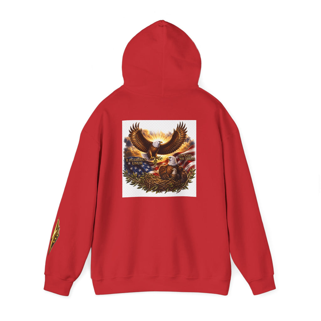 Patriotic Eagle Hoodie – American Flag & Bald Eagle Graphic Sweatshirt