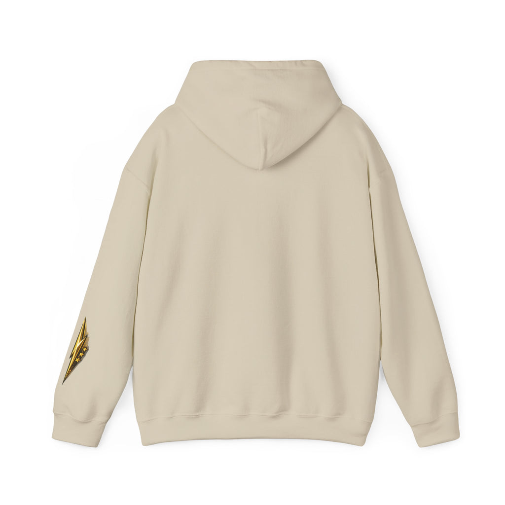 Eagle Emblem Hoodie — Classic Vintage Eagle Chest & Sleeve Graphic