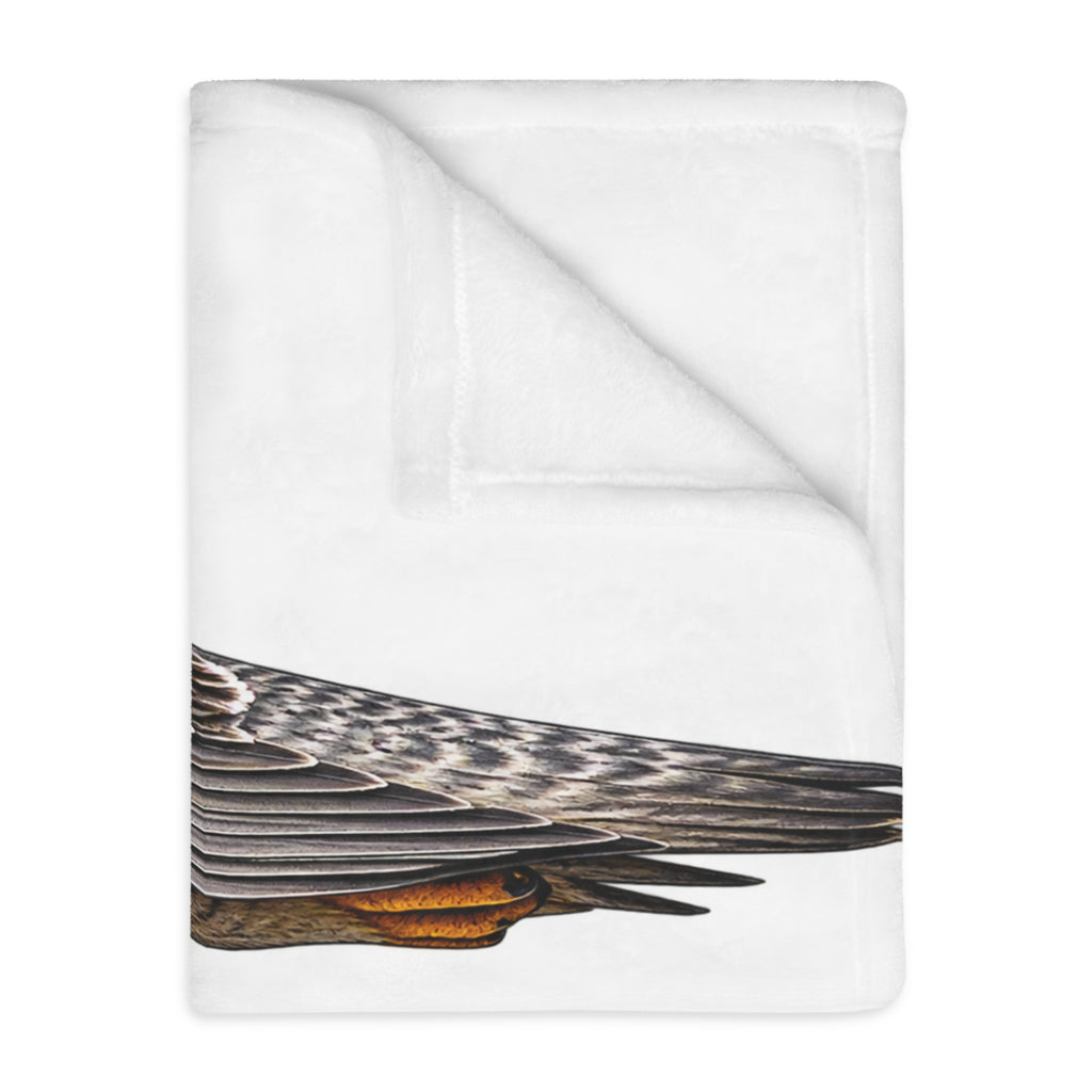 Peregrine Falcon Microfiber Blanket — Two-Sided Velveteen Throw with 'Relentless' Emblem