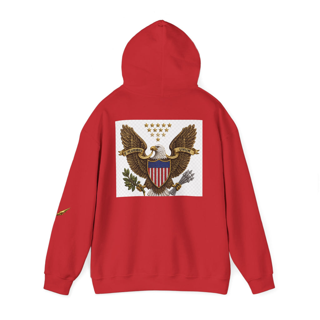 Eagle Emblem Hoodie — Vintage American Shield Graphic Hooded Sweatshirt