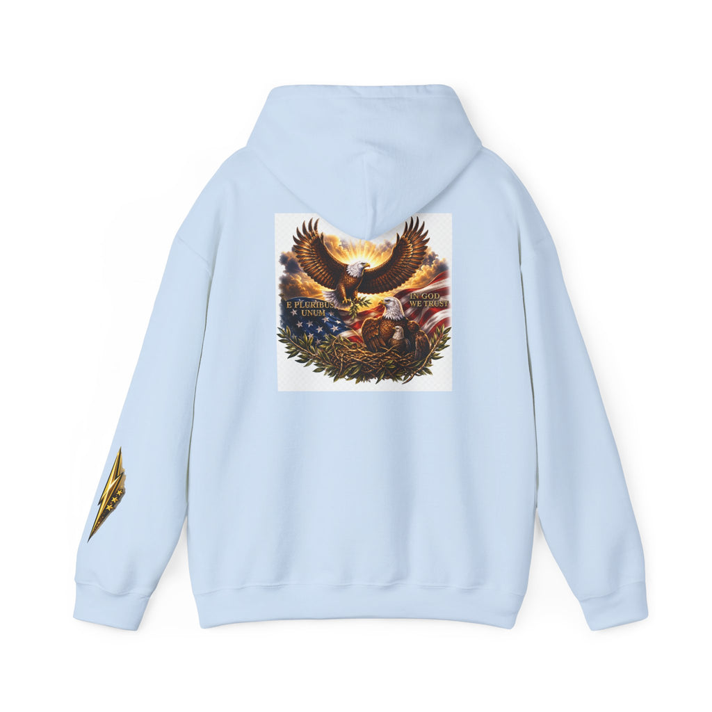 Patriotic Eagle Hoodie – American Flag & Bald Eagle Graphic Sweatshirt