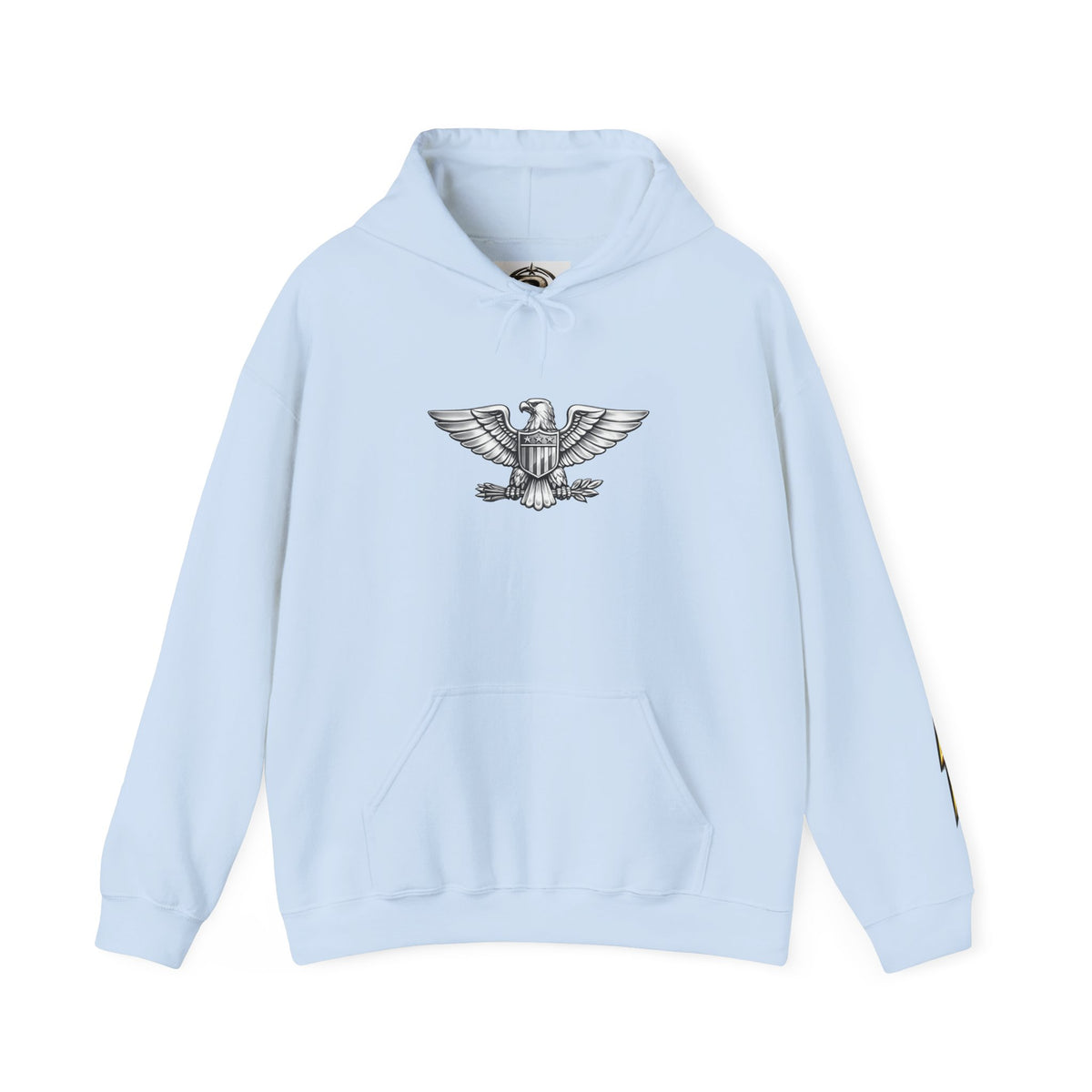 Eagle Emblem Hoodie — Classic Vintage Eagle Chest & Sleeve Graphic