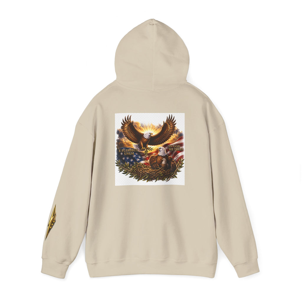 Patriotic Eagle Hoodie – American Flag & Bald Eagle Graphic Sweatshirt