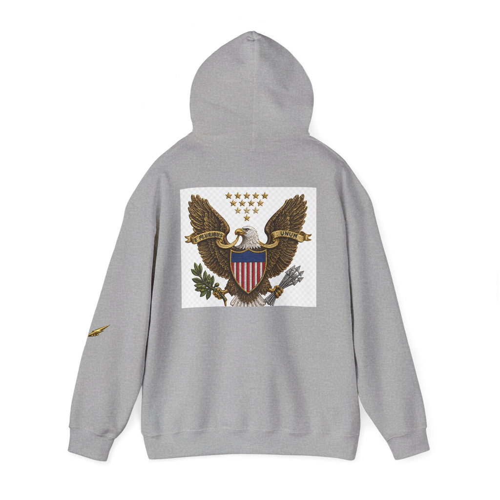 Eagle Emblem Hoodie — Vintage American Shield Graphic Hooded Sweatshirt