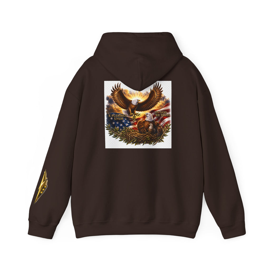 Patriotic Eagle Hoodie – American Flag & Bald Eagle Graphic Sweatshirt