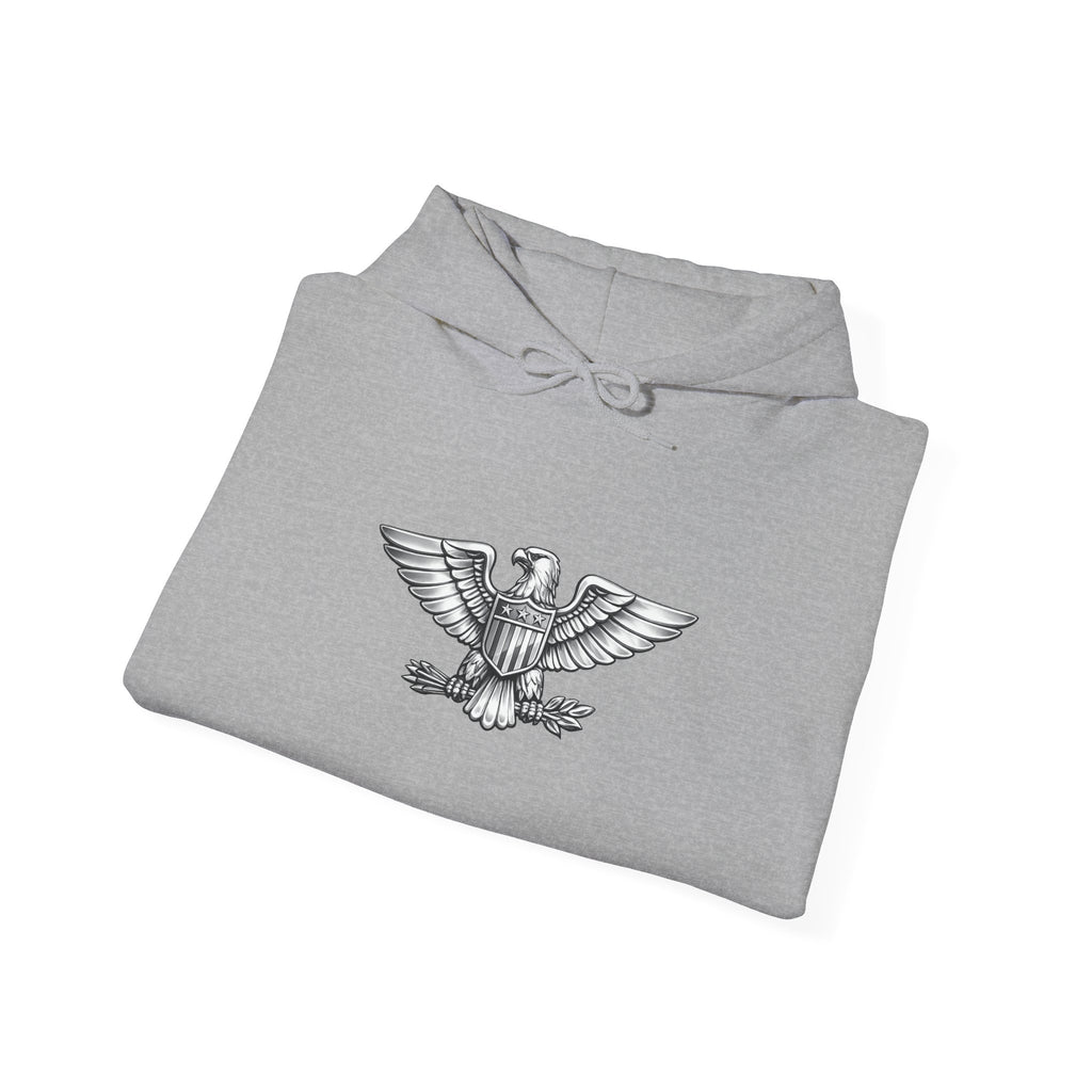 Eagle Emblem Hoodie — Classic Vintage Eagle Chest & Sleeve Graphic