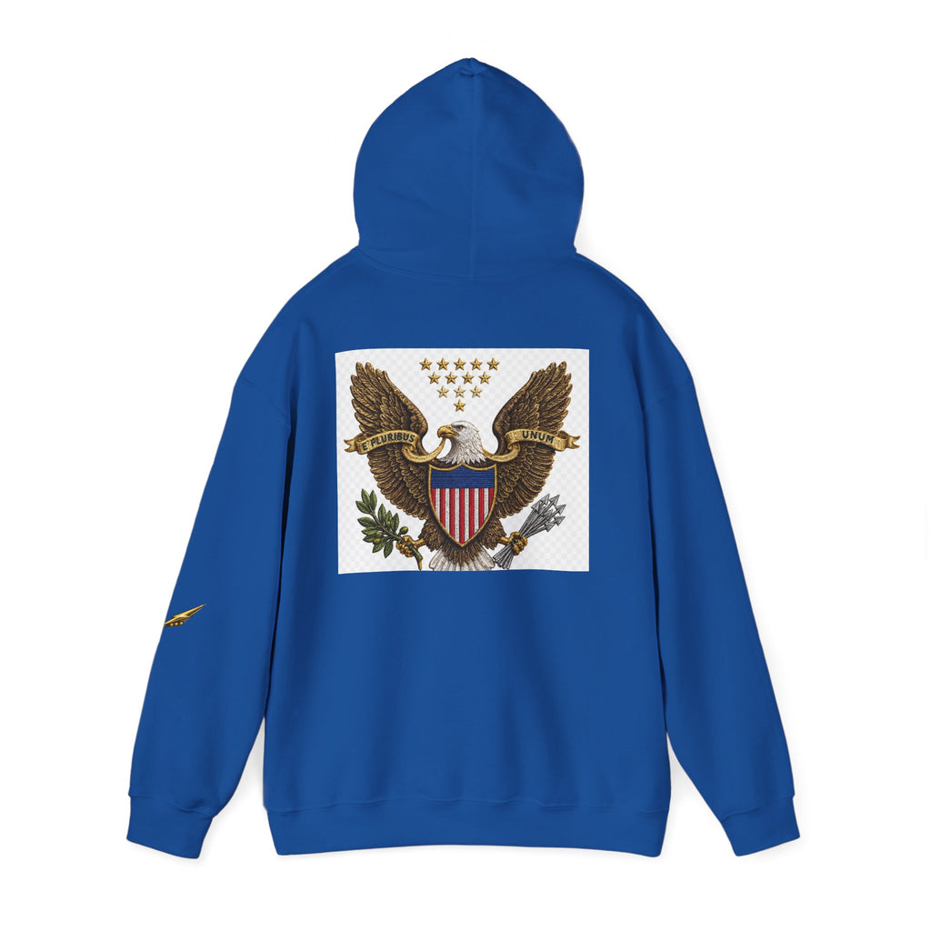 Eagle Emblem Hoodie — Vintage American Shield Graphic Hooded Sweatshirt