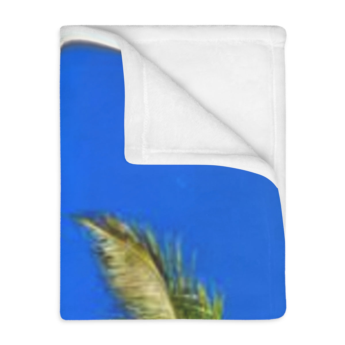 Beach Path Velveteen Blanket – Tropical Palm Microfiber Throw