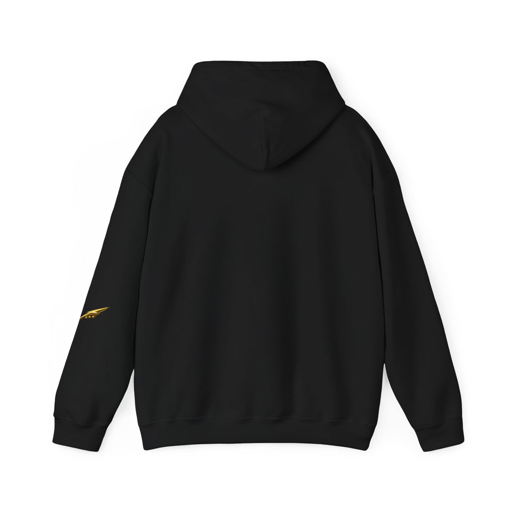 Princess Tiara Hoodie — Gold Script Crown Sweatshirt
