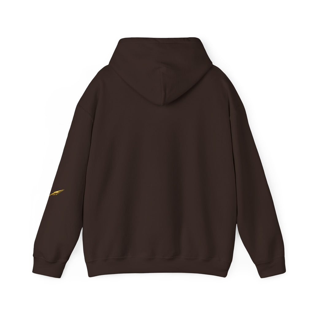 Copy of Devil Graphic Hoodie — "It Wasn't Me" Funny Devil Pullover