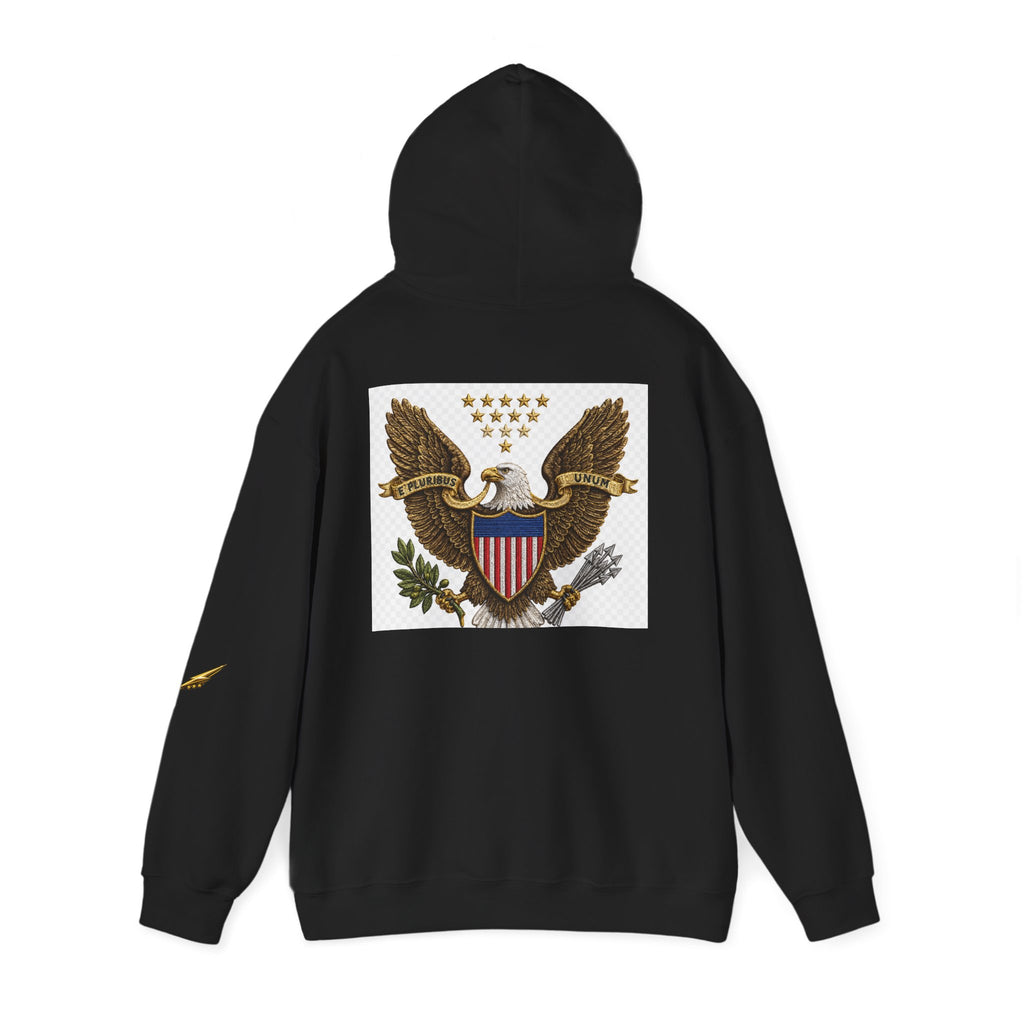 Eagle Emblem Hoodie — Vintage American Shield Graphic Hooded Sweatshirt